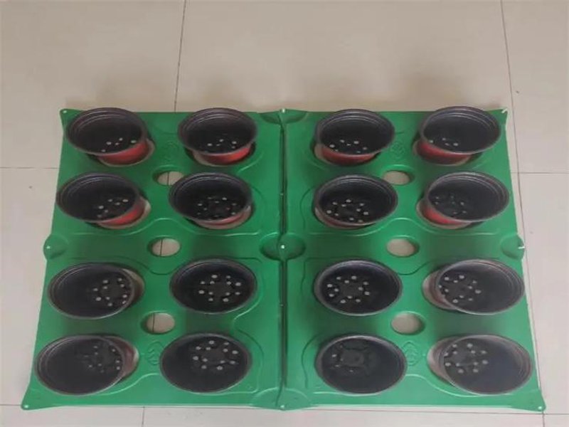 注塑加工:行业动态与未来趋势